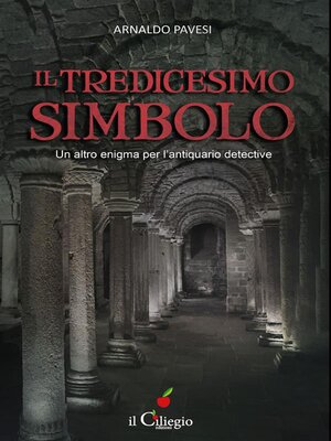 cover image of IL TREDICESIMO SIMBOLO. Un altro enigma per l'antiquario detective